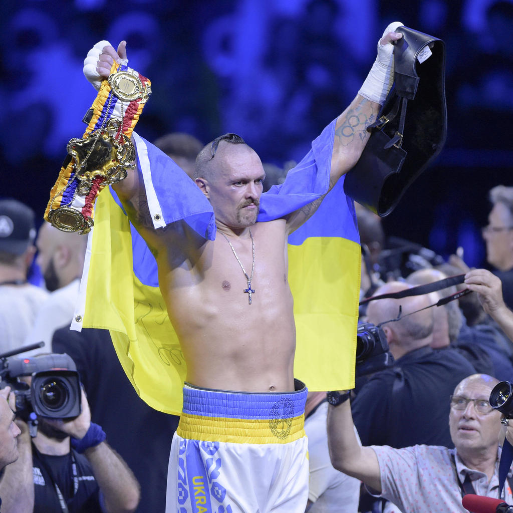 Die 10 besten Boxer der Welt