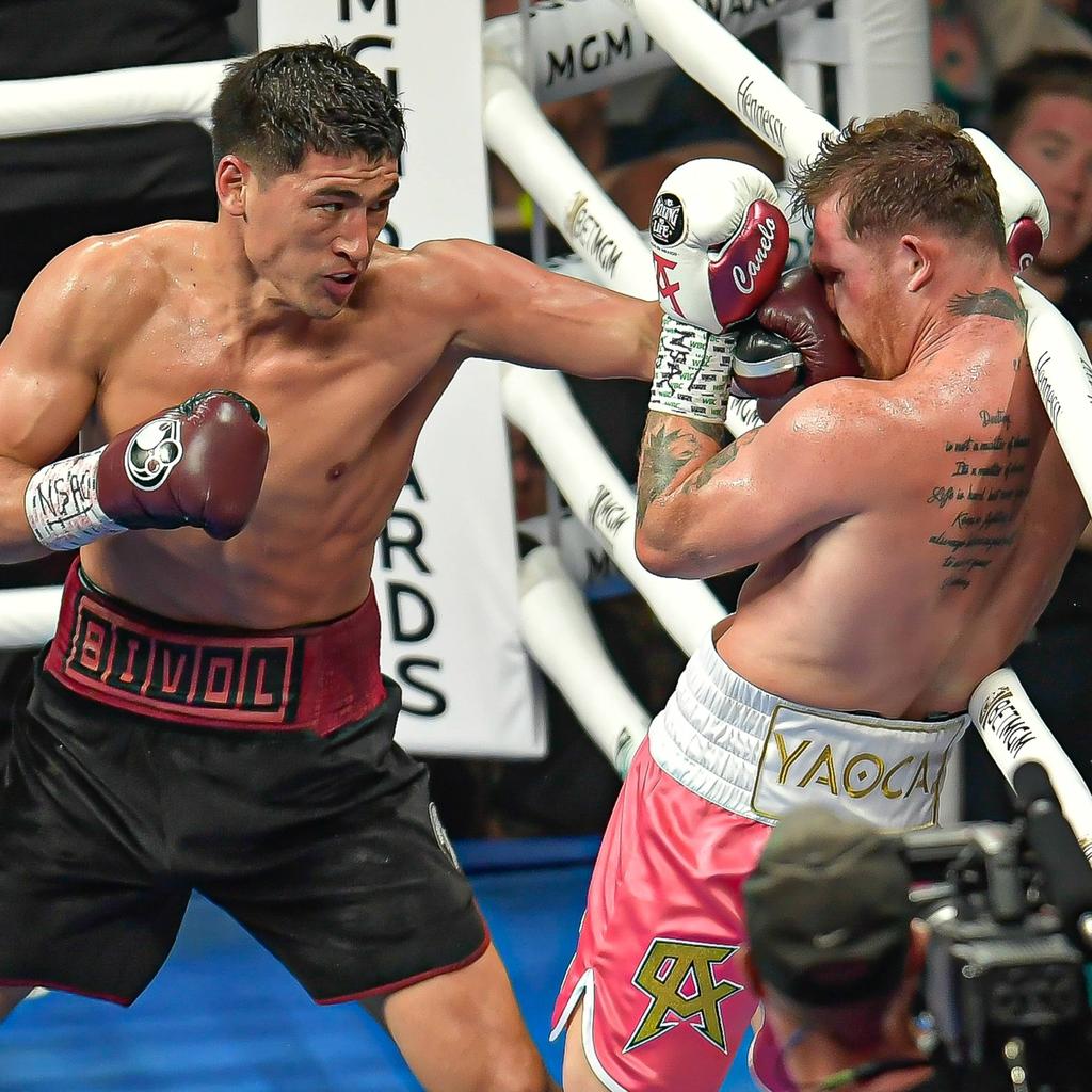 Platz 5 - Dmitry Bivol (Russland) - Halbschwergewicht