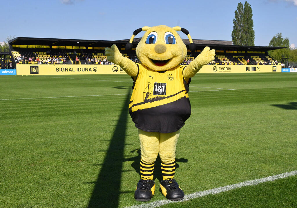 EMMA, die gelb-schwarze Biene, ist seit 2005 das offizielle Maskottchen von Borussia Dortmund